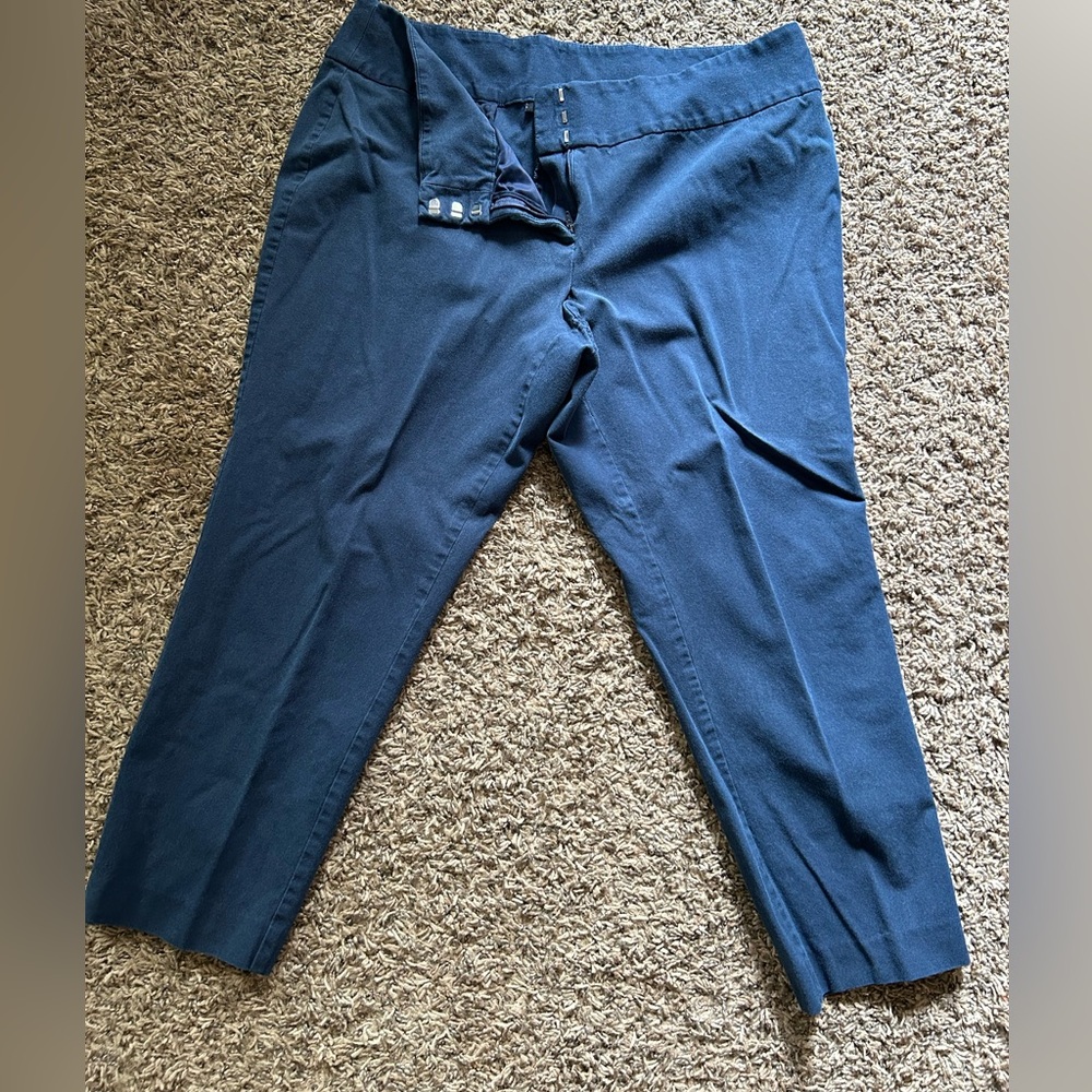 Dress pants